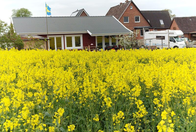 Schwedenhaus Krone 100e Stormarn